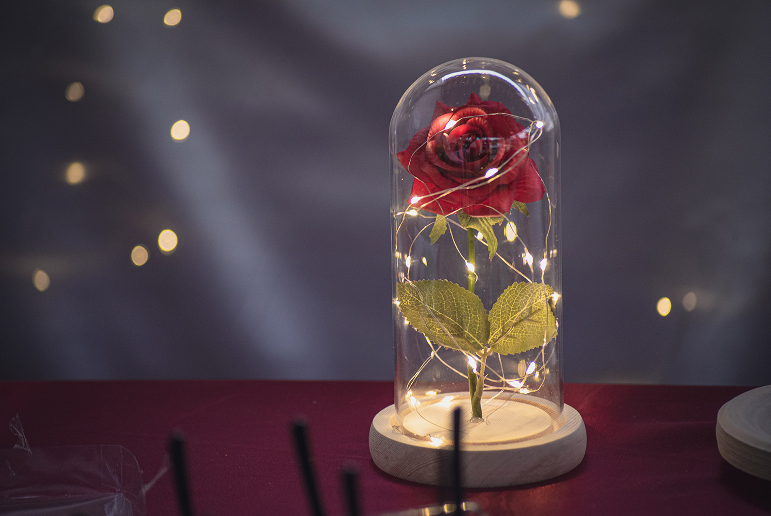 Photo de décoration, fleur sous cloche.